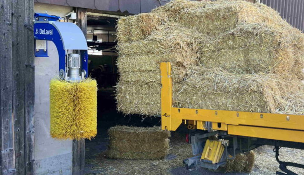  Der Landwirt verlor das Gleichgewicht und stürzte vom Lastwagen. 