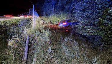 Ab der Autobahn geraten und durch Wildschutzzaun gebrettert
