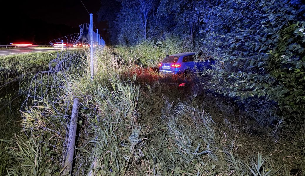 Ab der Autobahn geraten und durch Wildschutzzaun gebrettert