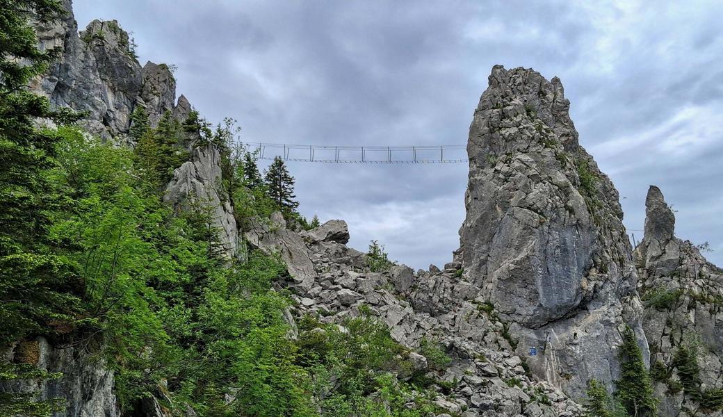 Wanderung auf Odis Hausberg