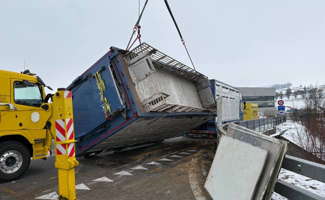 Schweinetransporter umgekippt – Tiere mussten vor Schlachtung umgeladen werden