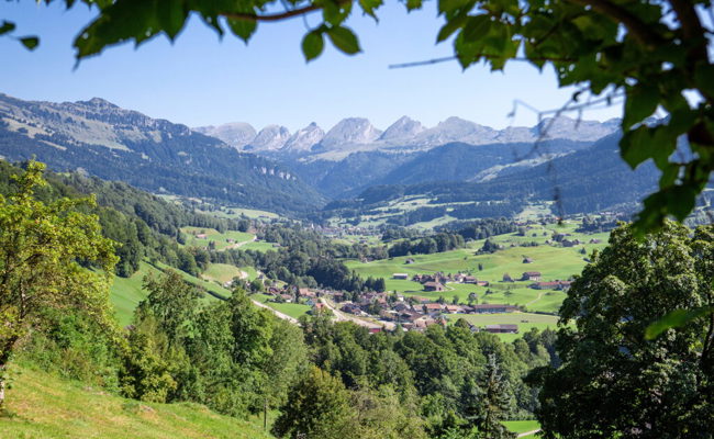 «Aus dem Dornröschenschlaf erwacht» - Aufbruchstimmung ist spürbar