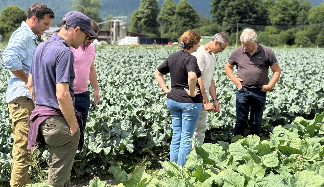 Die Geschäftsleitung von Bio Suisse und die Mitglieder des Verbandsvorstands erhielten direkt auf den Feldern von Agrarunternehmer Beni Dürr Einblick in den Gemüseanbau.
