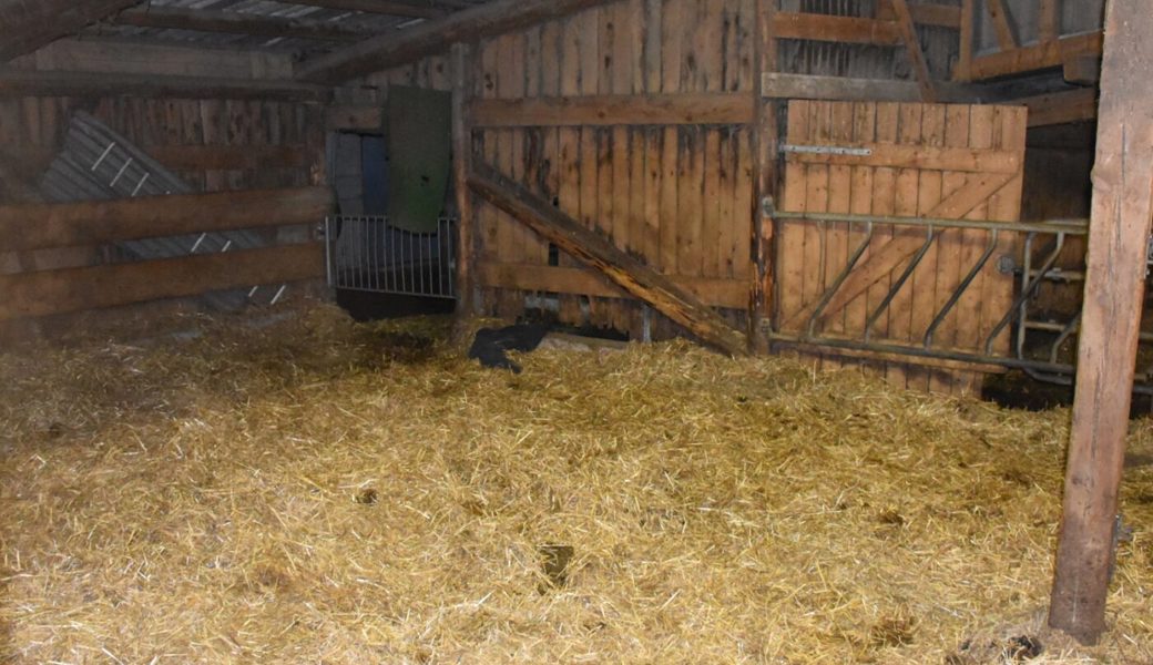  Ein Lehrling eilte dem Bauer zu Hilfe. 