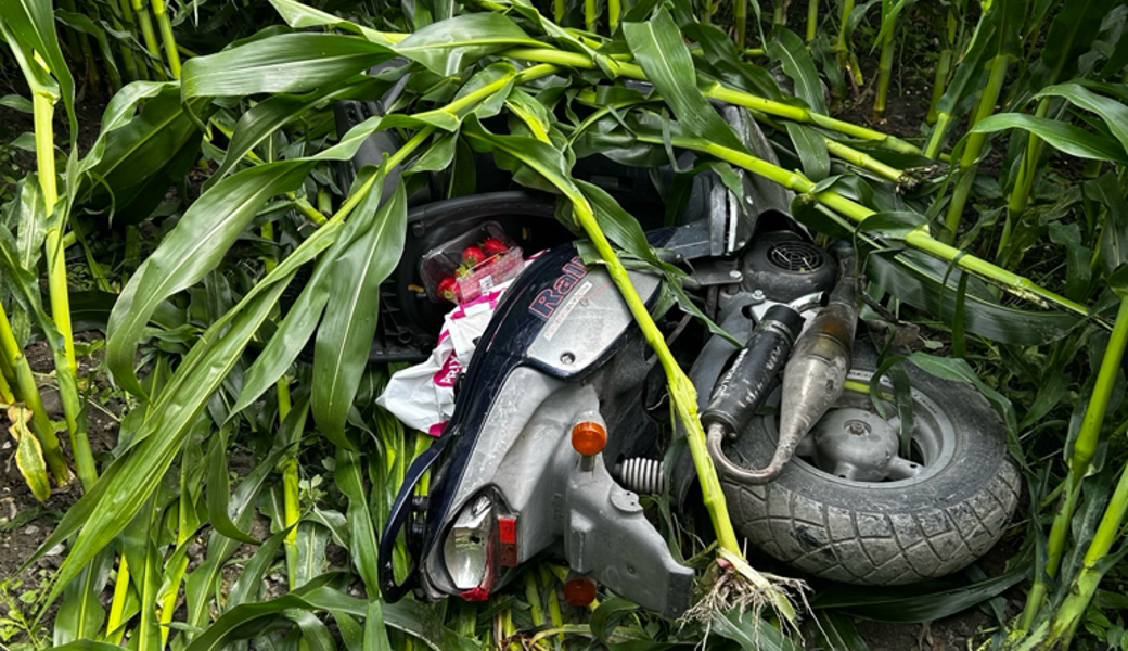 Im Maisfeld stürzte der Flüchtende.