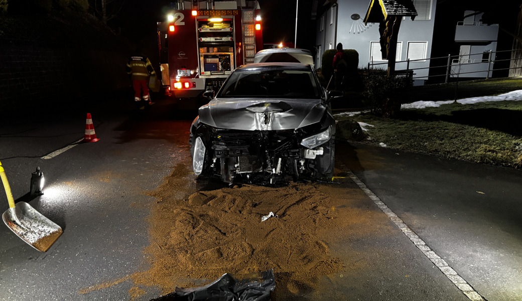 Frontal gegen Kandelaber gekracht