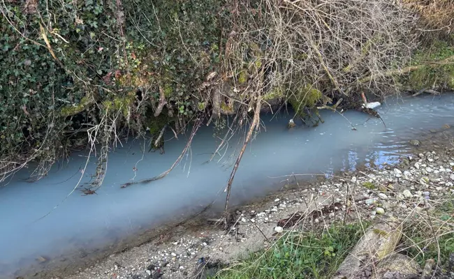 Milch im Bach – was die Staatsanwaltschaft dazu meint
