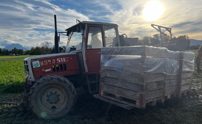Kinderkram: Ferien auf dem Feld statt am Meer oder im Europa-Park