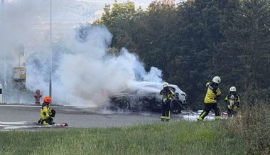 Erst leuchtete eine Warnlampe auf, dann brannte das Auto