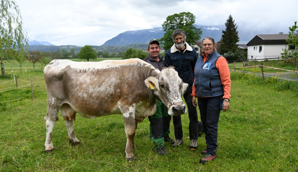 Heike und Daniel Tinner und ihr Mitarbeiter Ueli Maurer (von rechts) mit Kuh Maya.