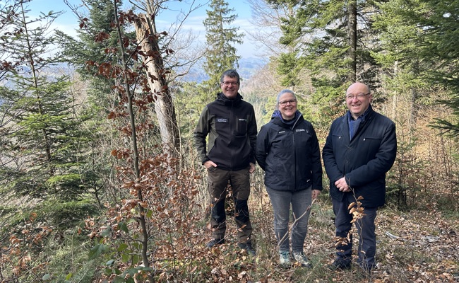 Wald braucht Politik mit Weitblick
