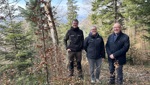 Wald braucht Politik mit Weitblick