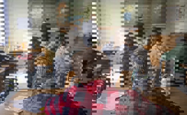 Zwischen heiler Welt und Wildwest: So präsentiert sich die Situation in den Werdenberger Schulen