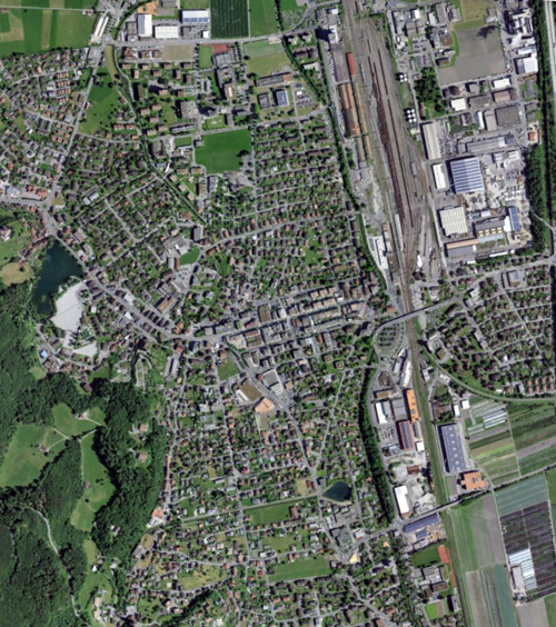Das Satellitenbild von 2021 zeigt den Baumbestand in der Stadt Buchs. Das Satellitenbild von 2021 zeigt den Baumbestand in der Stadt Buchs.