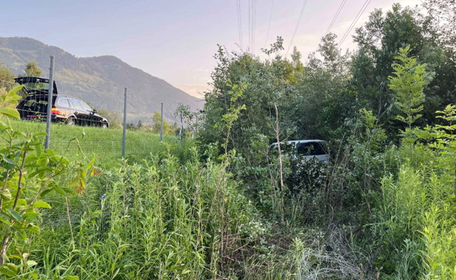 Selbstunfall auf Autobahn nach Sekundenschlaf – zwei verletzte Kinder
