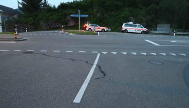 Alkohol im Spiel: Kuh mitten in der Nacht nach Unfall mit Auto eingeschläfert