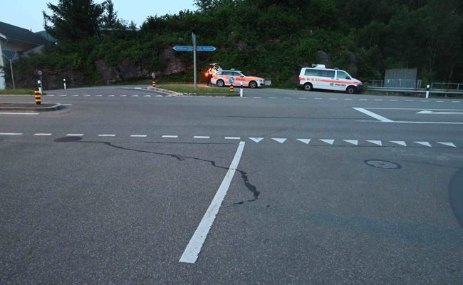 Alkohol im Spiel: Kuh mitten in der Nacht nach Unfall mit Auto eingeschläfert