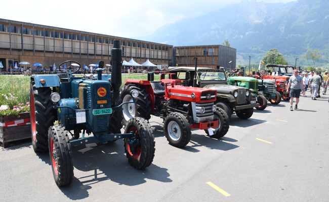 Oldtimertraktoren so weit das Auge reicht