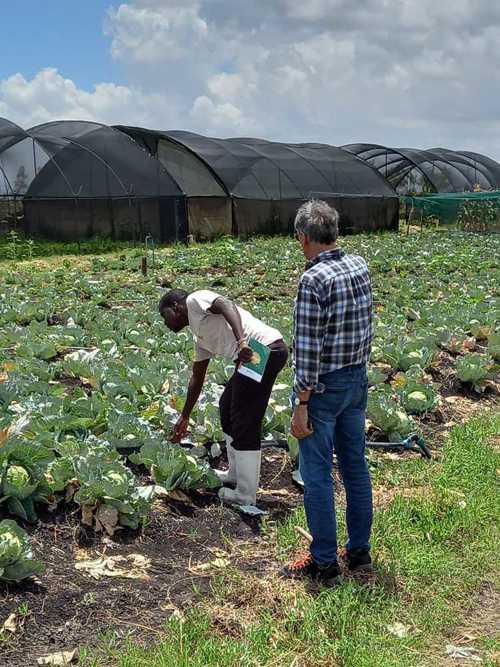  Blick in die Anlage des Kinderheims in Kenia. 