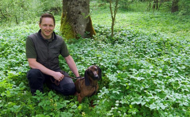 Tierschützerinnen und Tierschützer im Einsatz für Hunde, Katzen und mehr