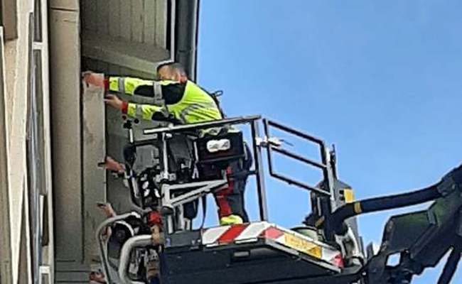 Feuerwehr leistet einen Spezialeinsatz für Mehlschwalben