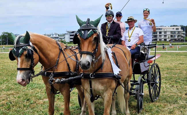 Werdenberger Gespannfahrer gewinnen beim OKV-Fahrchampionat Medaillen