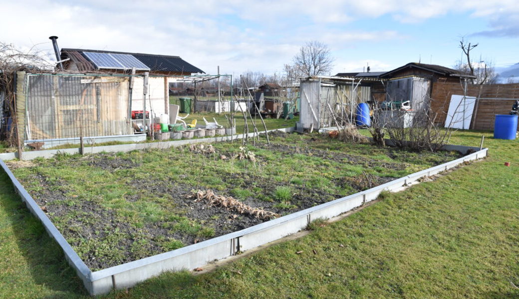  Diese Kleinpflanzerparzellen in Buchs müssen nach den Plänen der Ortsgemeinde an einen anderen Ort umziehen. 