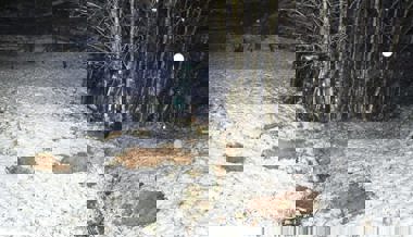 Unfall mit Pick-up: Automobilist kam von Fahrbahn ab und überschlug sich