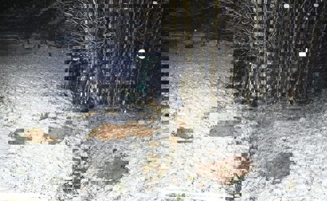 Unfall mit Pick-up: Automobilist kam von Fahrbahn ab und überschlug sich