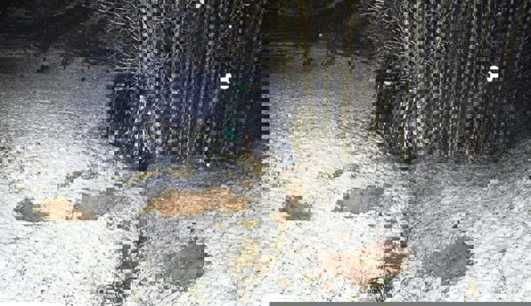  Der Pick-up des 43-järigen Mannes überschlug sich und kam in einem Bachbett zum Stillstand. 