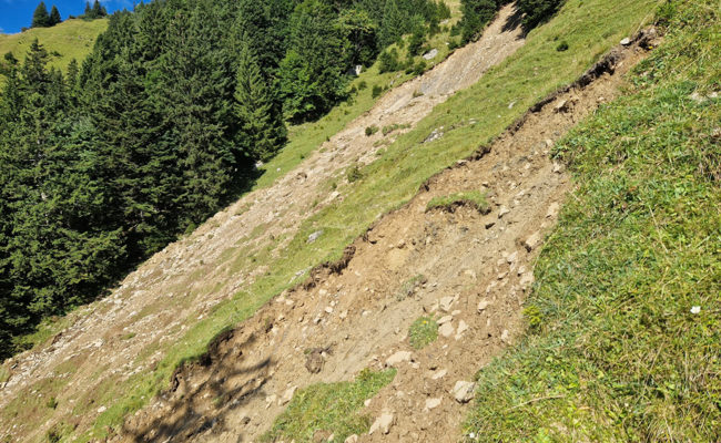 Zwei Kühe werden von Erdrutsch auf der Alp Eidenen mitgerissen und sterben