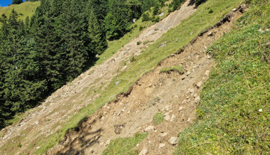 Zwei Kühe werden von Erdrutsch auf der Alp Eidenen mitgerissen und sterben