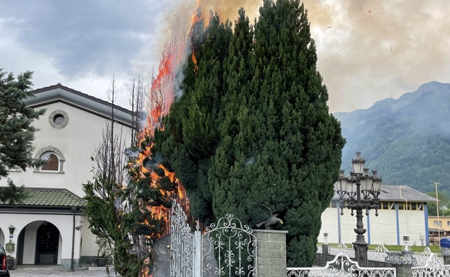 Feuerwehr mussten wegen brennender Zypressen ausrücken