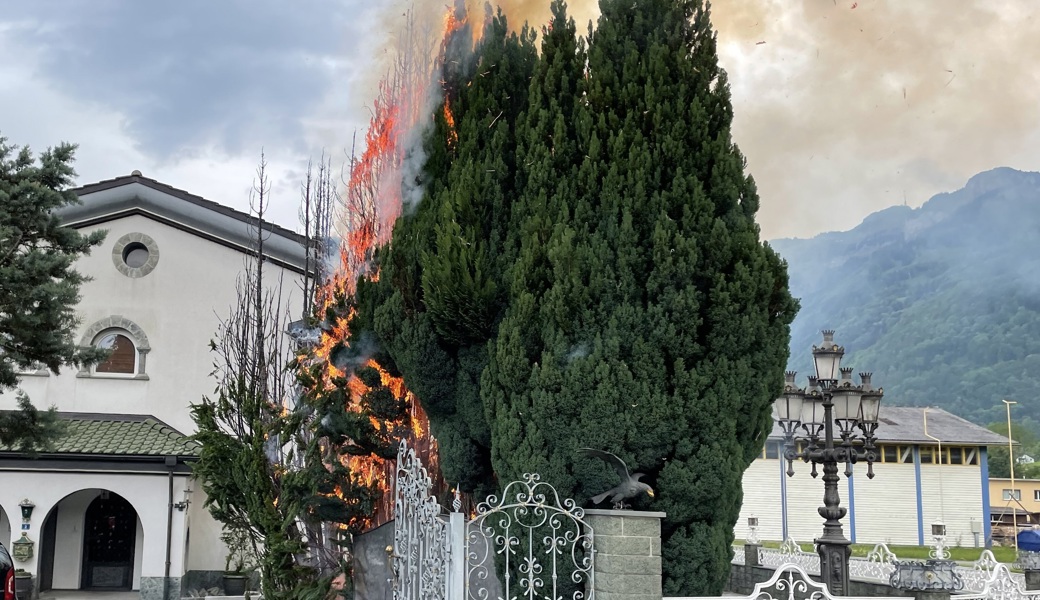 Feuerwehr mussten wegen brennender Zypressen ausrücken
