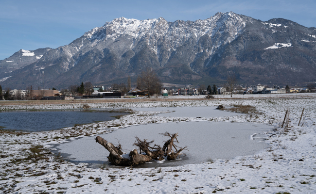 Viele Tier- und Pflanzenarten angesiedelt: Aufwertungsprojekt Rietli wird ergänzt und erweitert