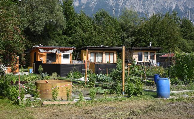 Nach Struktura-24-Ärger ist bei Kleinpflanzern Alltag eingekehrt