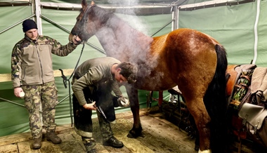 Über 100 Personen schauten der Kompanie 13 über die Schulter
