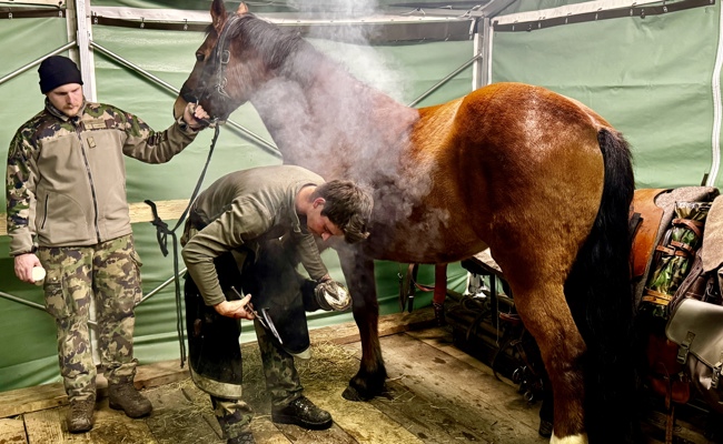 Über 100 Personen schauten der Kompanie 13 über die Schulter