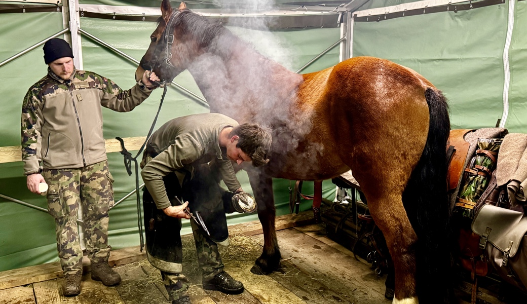 Über 100 Personen schauten der Kompanie 13 über die Schulter