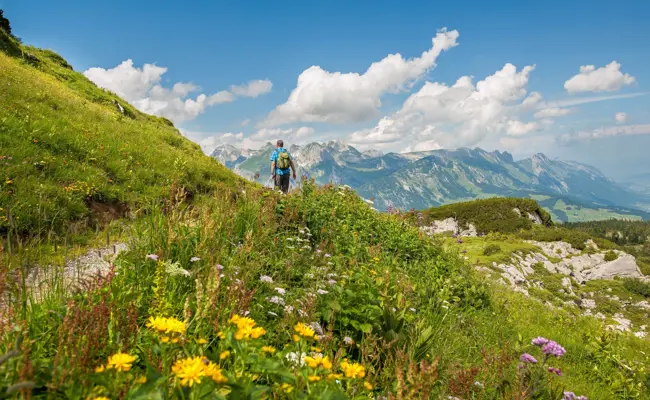Eine Rundwanderung mit geologischen Fakten und ein Fabelwesen mit Geschichten:  Hier entsteht eine neue Erlebniswelt