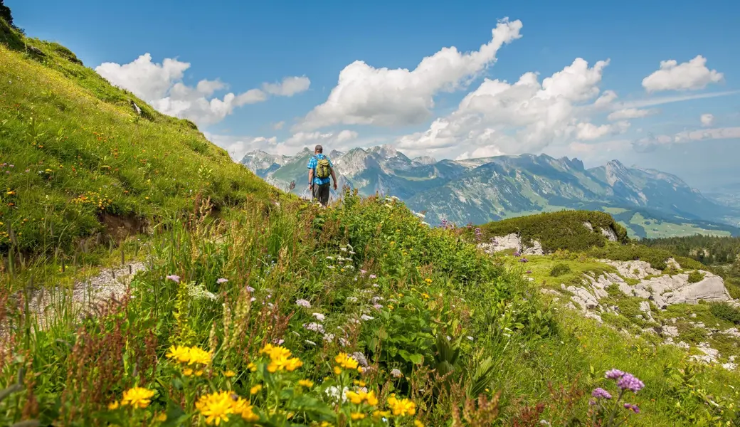 Der geologische Rundweg Gamserrugg soll 2026 restauriert werden.