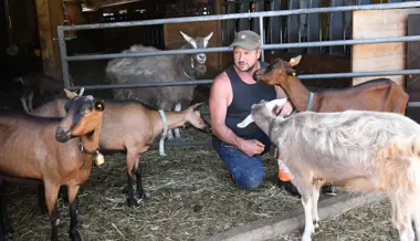 Eidgenosse Beat Abderhalden: «Ich gehe mit meinen Tieren nicht auf die Alp, um sie an den Wolf zu verfüttern»