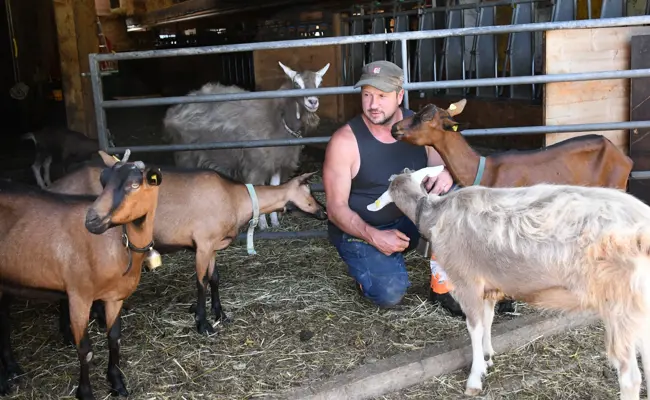 Eidgenosse Beat Abderhalden: «Ich gehe mit meinen Tieren nicht auf die Alp, um sie an den Wolf zu verfüttern»