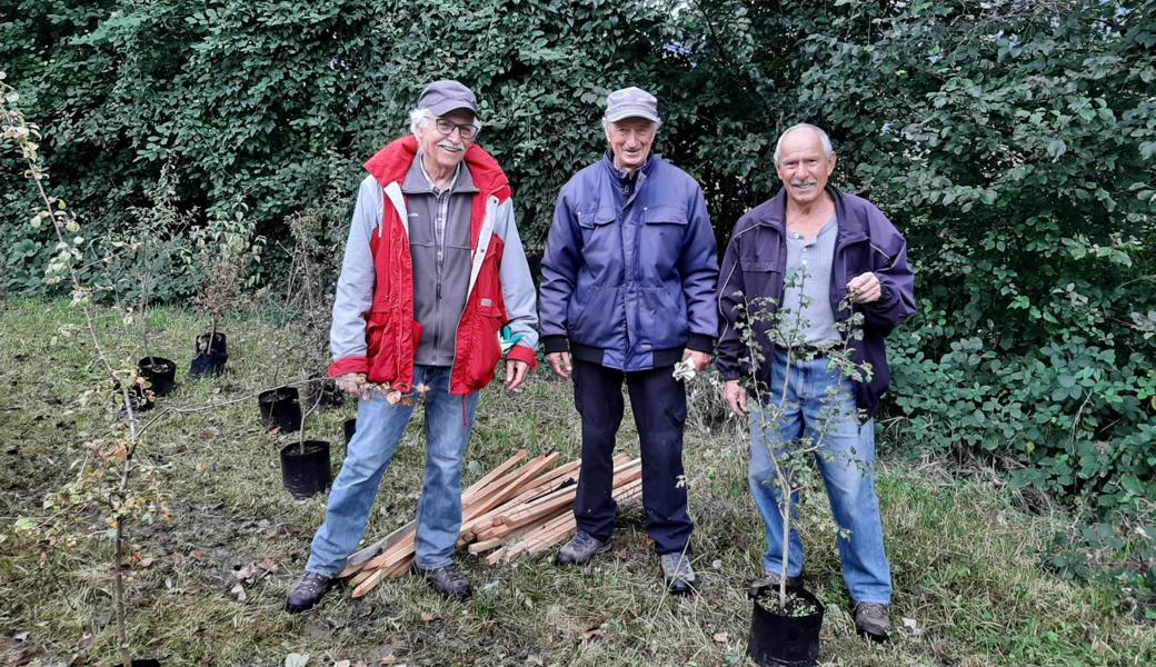 Das Arbeiterteam (von links): Othmar Bossart, Kurt Marti und Ludwig Altenburger.