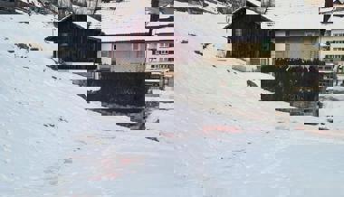 Totes Rehkitz in Mels: Mit «Fake-News» einen Wolfsriss vorgetäuscht