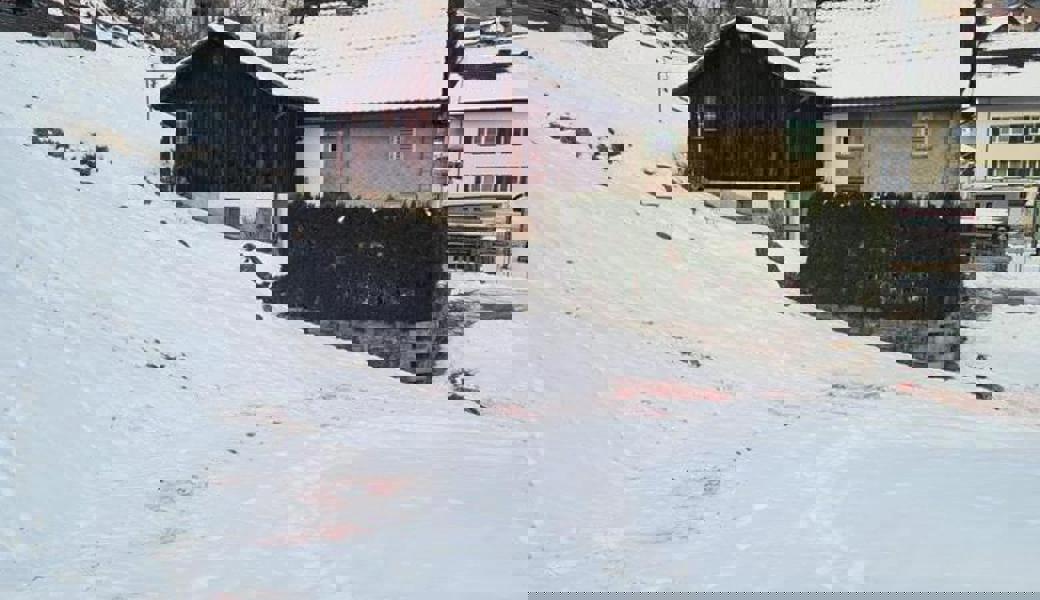  Das tote Reh wurde in Siedlungsnähe gefunden. 