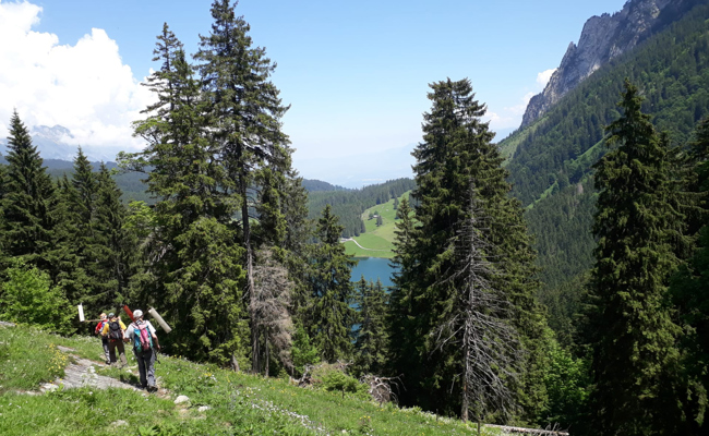 Gut zu Fuss und nicht aus Zucker? Freiwillige für Alpenpflege gesucht