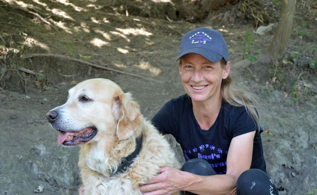 Konflikt um «Hundeparadies»: Baubewilligung fehlt