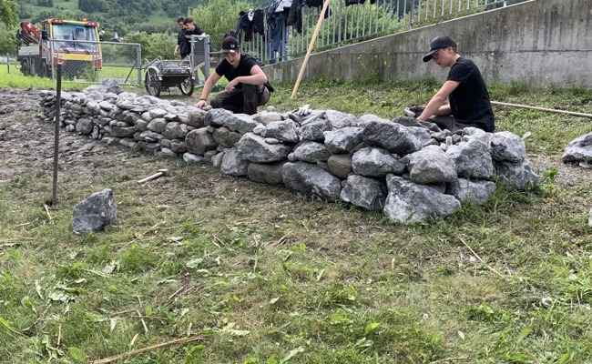 Biodiversität macht Schule an der Oberstufe