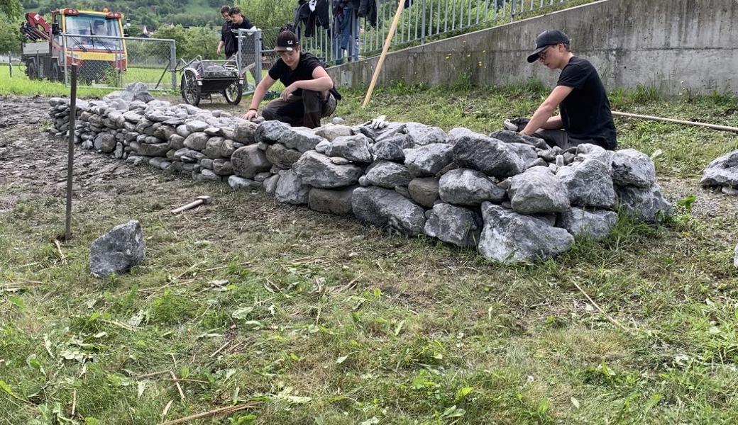 Biodiversität macht Schule an der Oberstufe
